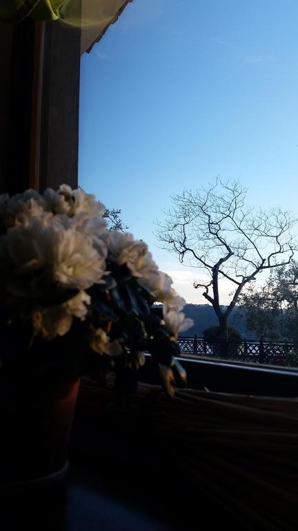 Hotel Villa Degli Angeli Castel Gandolfo Bagian luar foto