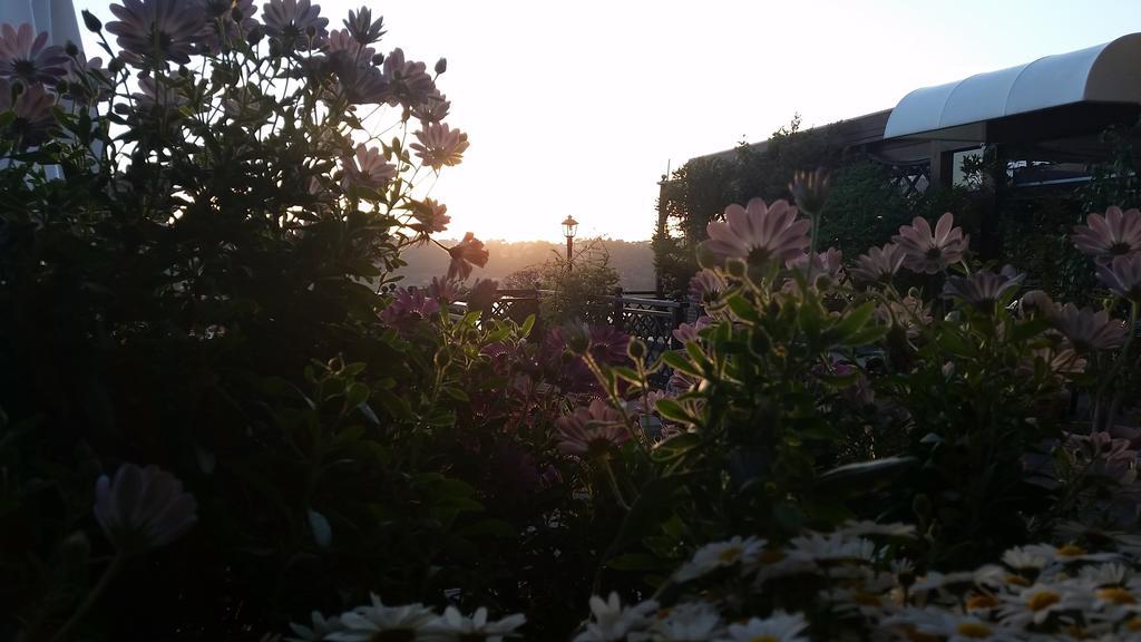 Hotel Villa Degli Angeli Castel Gandolfo Bagian luar foto